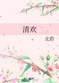 清欢 九铃封面