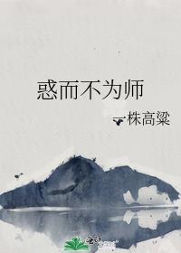 惑而不为师封面