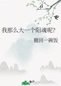 我那么大一个阳魂呢？封面