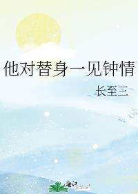 他对替身一见钟情封面