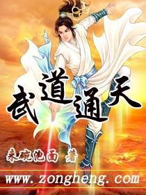 武道通天封面