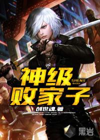 神级败家子封面