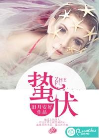 蛰伏封面