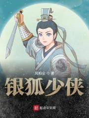 银狐少侠封面