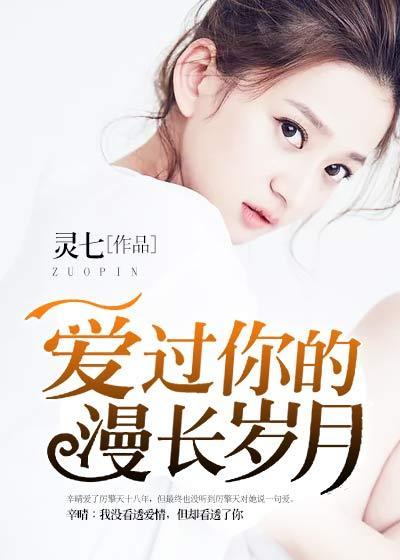 爱过你的漫长岁月封面