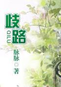 歧路封面
