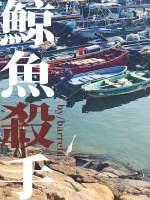 鲸鱼杀手封面