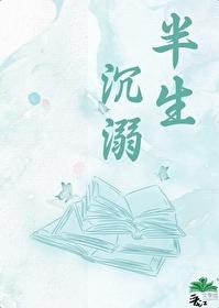 半生沈溺封面