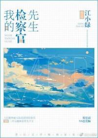 我的检察官先生封面