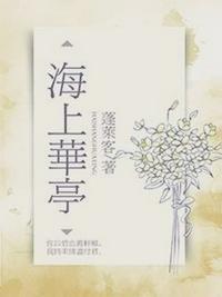 海上华亭封面