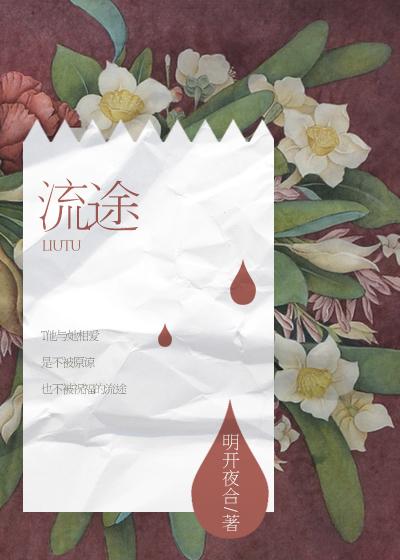 流途封面