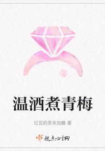 温酒煮青梅封面