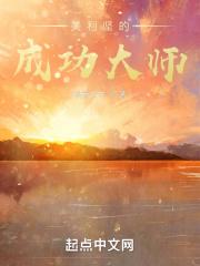 美利坚的成功大师封面