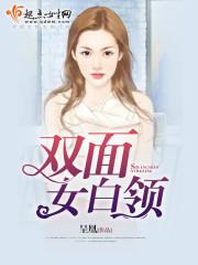 双面女白领封面