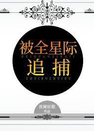 被全星际追捕封面