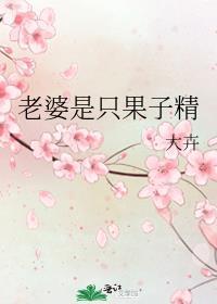 老婆是只果子精封面