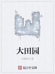 大田园封面
