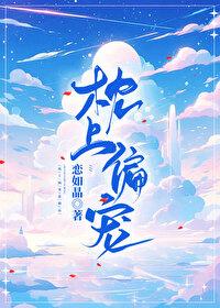 枕上偏宠封面