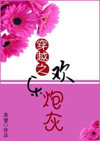 穿越之欢乐炮灰封面