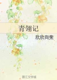 青翎记封面