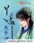 丫鬟成长记封面