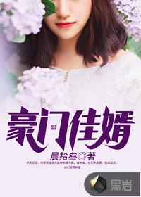 豪门佳婿封面