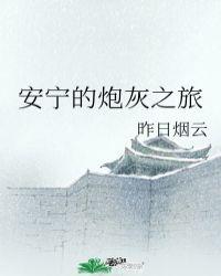 安宁的炮灰之旅封面