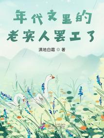 年代文里的老实人罢工了封面