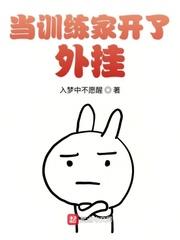 当训练家开了外挂封面
