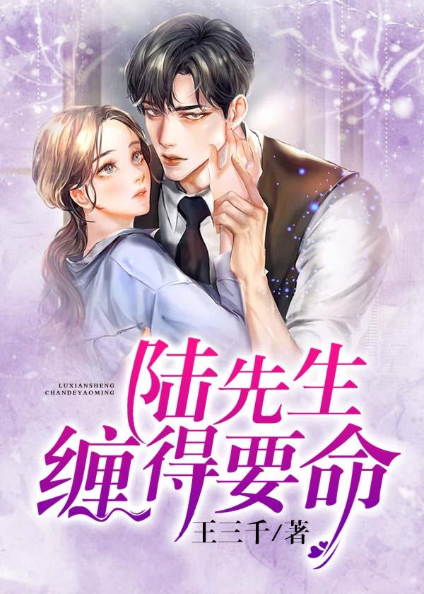 陆先生缠的要命封面