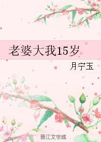 老婆大我15岁封面