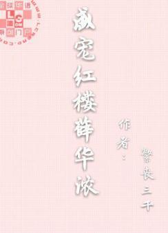 盛宠红楼薛华浓封面