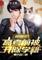 战宠时代：高考前被开除学籍封面