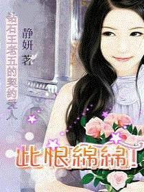 此恨绵绵封面