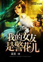 我的女友是警花儿封面