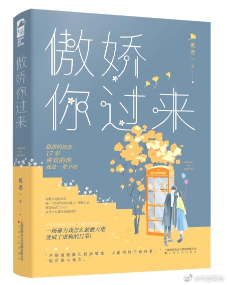 傲娇你过来封面