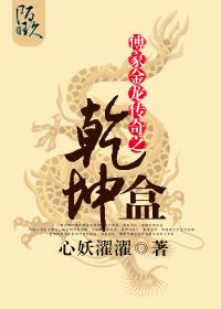 傅家金龙传奇之乾坤盒封面