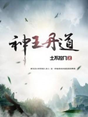 神王丹道封面