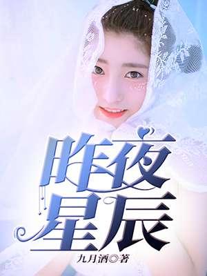 昨夜星辰封面
