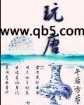 玩唐封面