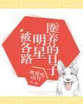 被各路明星圈养的日子封面