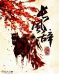 长风辞封面