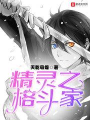 精灵之格斗家封面
