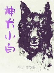 神犬小白封面