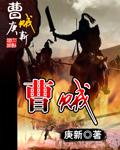曹贼笔趣阁封面