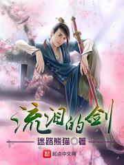 流泪的剑封面