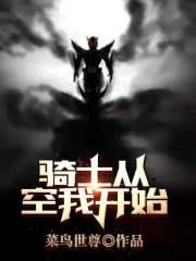 骑士从空我开始封面