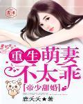 帝少甜婚：重生萌妻不太乖封面