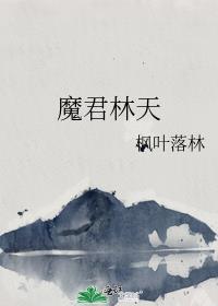 魔君林天封面