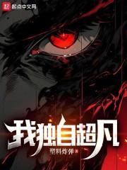 我独自超凡封面